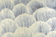 Sand Dunes